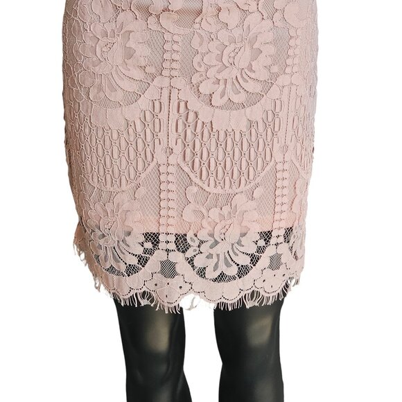 Pink Lace Illusion Sheath Dress - Picture 7 of 8